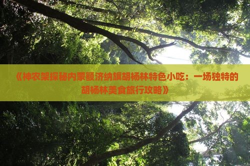 《神农架探秘内蒙额济纳旗胡杨林特色小吃：一场独特的胡杨林美食旅行攻略》