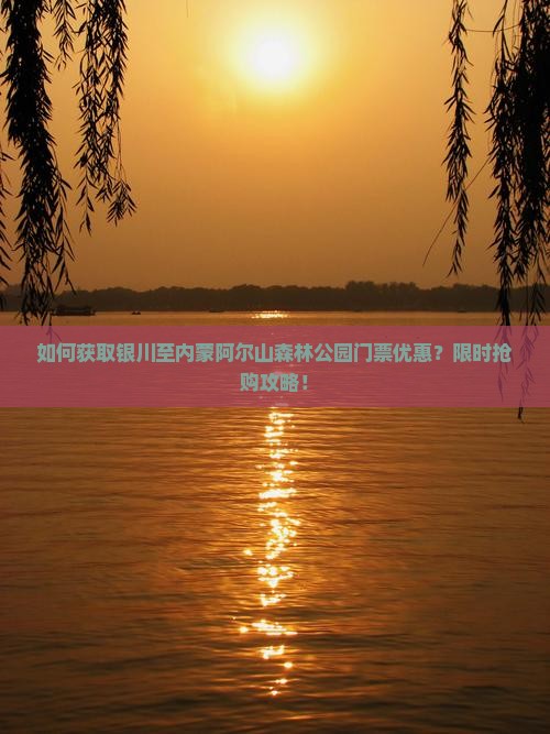如何获取银川至内蒙阿尔山森林公园门票优惠？限时抢购攻略！