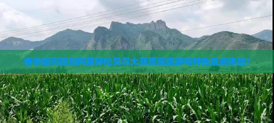 春季如何规划内蒙呼伦贝尔大草原深度游与特色景点体验？