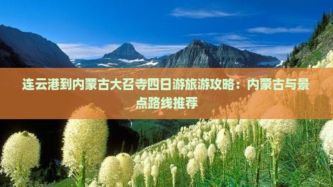 连云港到内蒙古大召寺四日游旅游攻略：内蒙古与景点路线推荐