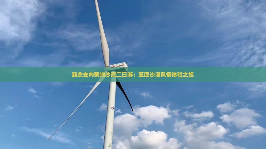 新余去内蒙响沙湾二日游：草原沙漠风情体验之旅