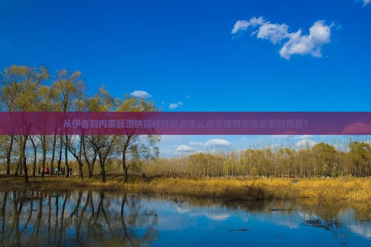 从伊春到内蒙额济纳胡杨林景点怎么卓沿途有哪些必看的风景？