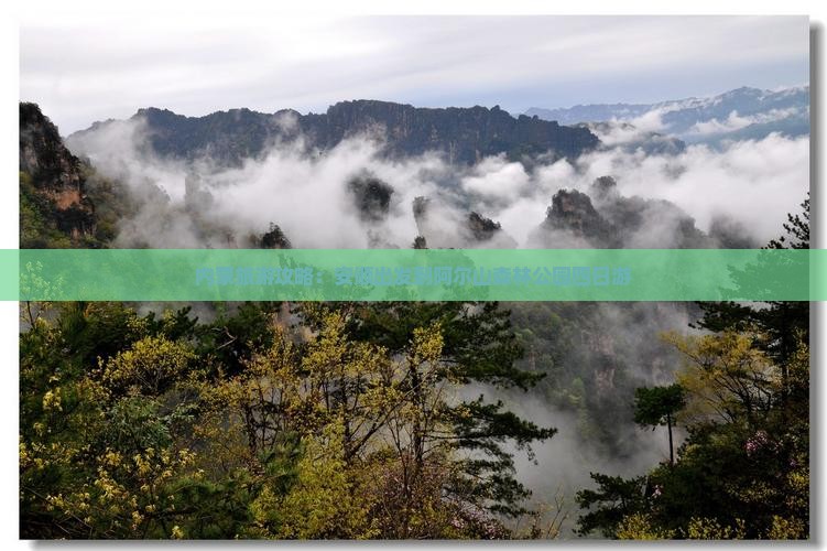 内蒙旅游攻略：安顺出发到阿尔山森林公园四日游