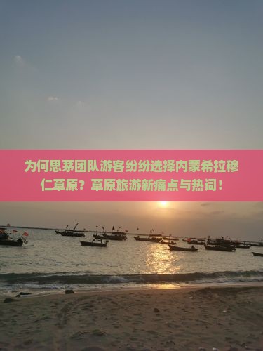 为何思茅团队游客纷纷选择内蒙希拉穆仁草原？草原旅游新痛点与热词！