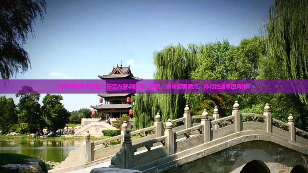 如何从石河子高效出行至内蒙希拉穆仁草原，解决游客痛点，体验地道草原风情？