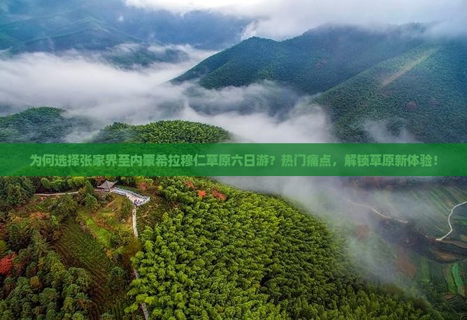 为何选择张家界至内蒙希拉穆仁草原六日游？热门痛点，解锁草原新体验！