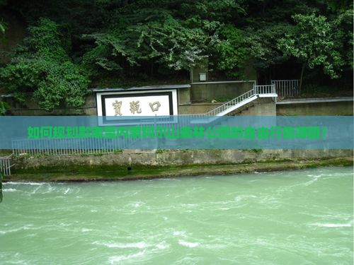 如何规划黔南至内蒙阿尔山森林公园的自由行旅游团？