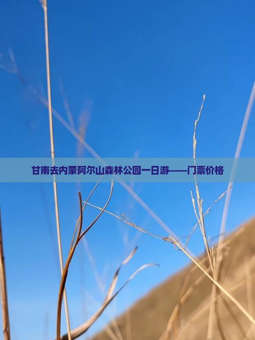 甘南去内蒙阿尔山森林公园一日游——门票价格