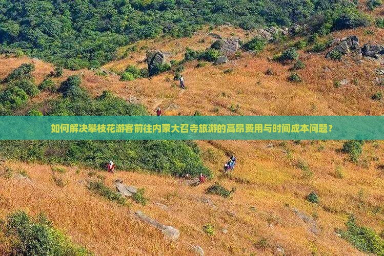 如何解决攀枝花游客前往内蒙大召寺旅游的高昂费用与时间成本问题？