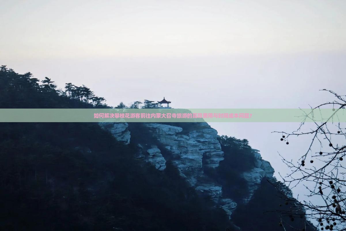 如何解决攀枝花游客前往内蒙大召寺旅游的高昂费用与时间成本问题？