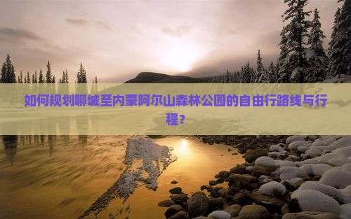 如何规划聊城至内蒙阿尔山森林公园的自由行路线与行程？