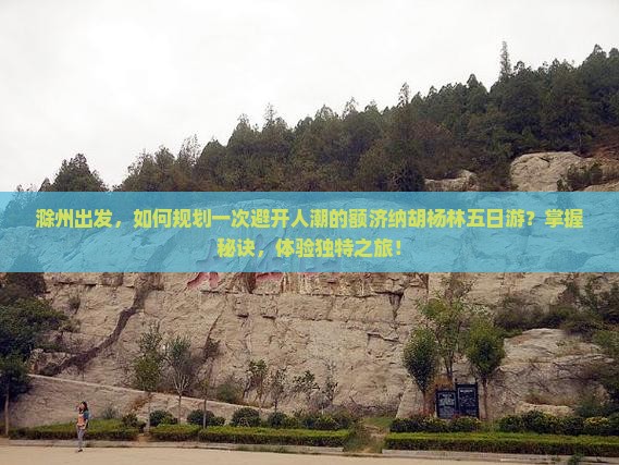 滁州出发，如何规划一次避开人潮的额济纳胡杨林五日游？掌握秘诀，体验独特之旅！
