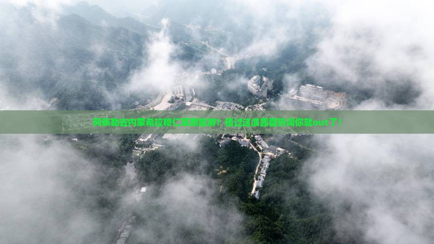 阿泰勒去内蒙希拉穆仁草原旅游？错过这波露营热词你就out了！