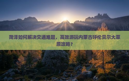 菏泽如何解决交通难题，高效游玩内蒙古呼伦贝尔大草原攻略？