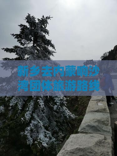 新乡去内蒙响沙湾团体旅游路线及住宿攻略