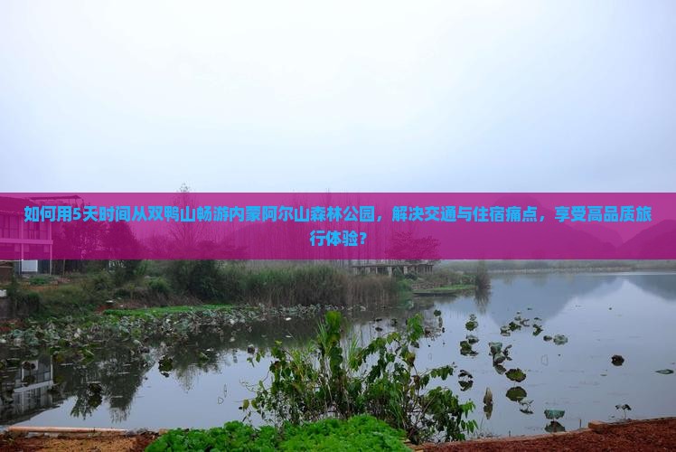 如何用5天时间从双鸭山畅游内蒙阿尔山森林公园，解决交通与住宿痛点，享受高品质旅行体验？