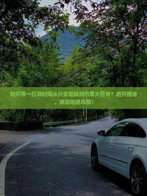 如何用一日游时间从兴安盟畅游内蒙大召寺？避开拥堵，体验地道风情！