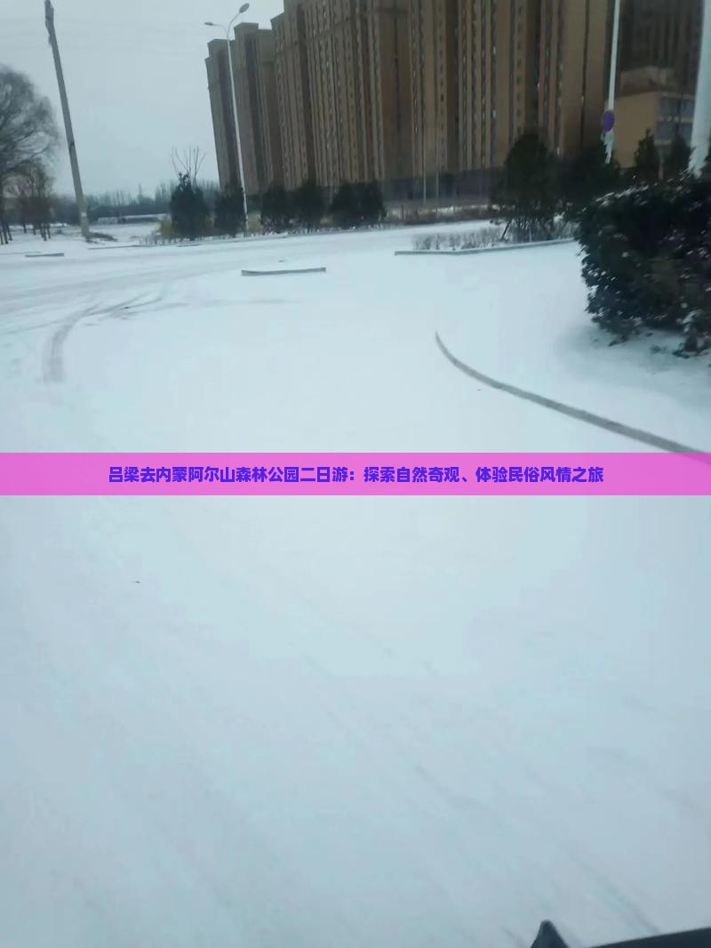 吕梁去内蒙阿尔山森林公园二日游：探索自然奇观、体验民俗风情之旅