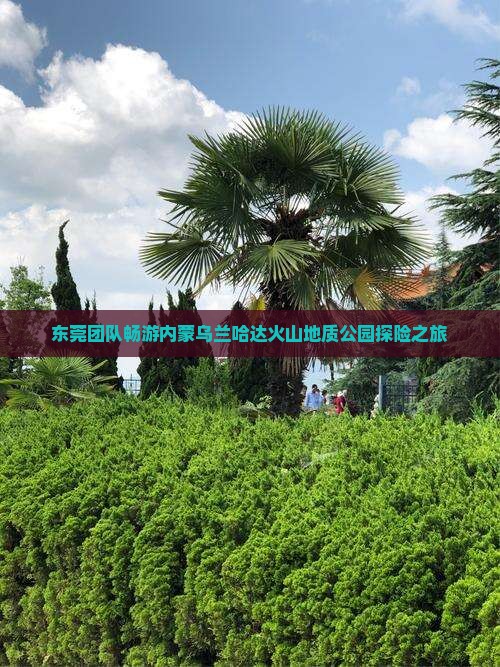 东莞团队畅游内蒙乌兰哈达火山地质公园探险之旅