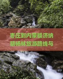 枣庄到内蒙额济纳胡杨林旅游路线与景点推荐攻略