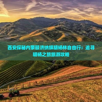 西安探秘内蒙额济纳旗胡杨林自由行：追寻胡杨之旅旅游攻略
