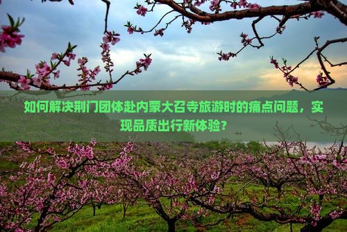 如何解决荆门团体赴内蒙大召寺旅游时的痛点问题，实现品质出行新体验？