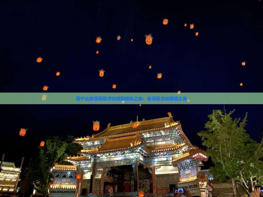 西宁出发探秘额济纳旗胡杨林之旅：追寻额济纳胡杨之美