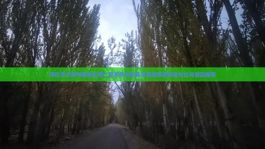 呼伦贝尔到内蒙希拉穆仁草原景点距离及两地草原特色对比与游玩推荐
