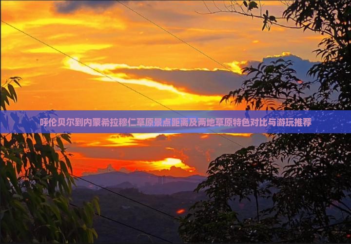 呼伦贝尔到内蒙希拉穆仁草原景点距离及两地草原特色对比与游玩推荐