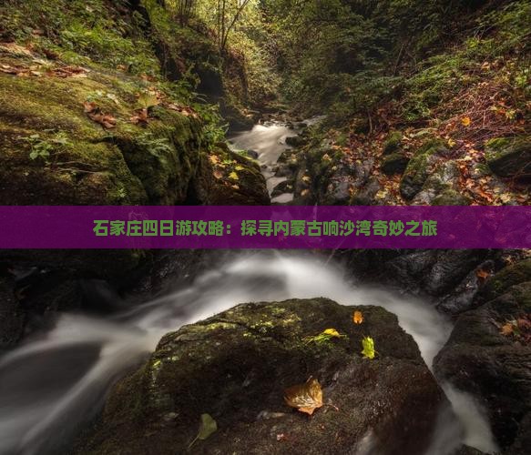 石家庄四日游攻略：探寻内蒙古响沙湾奇妙之旅