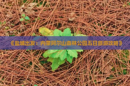 《盐城出发：内蒙阿尔山森林公园五日旅游攻略》