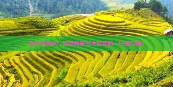 如何规划从广安到内蒙古大召寺的一日游行程? 如何规划从广安到内蒙古大召寺的一日游行程?