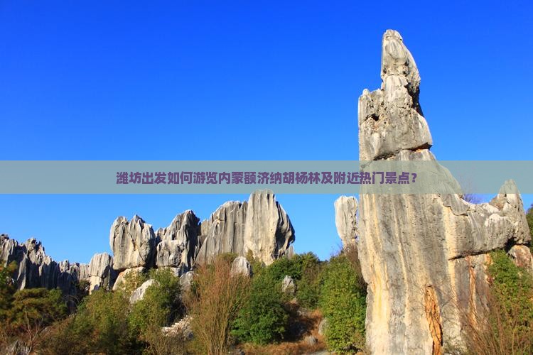 潍坊出发如何游览内蒙额济纳胡杨林及附近热门景点？