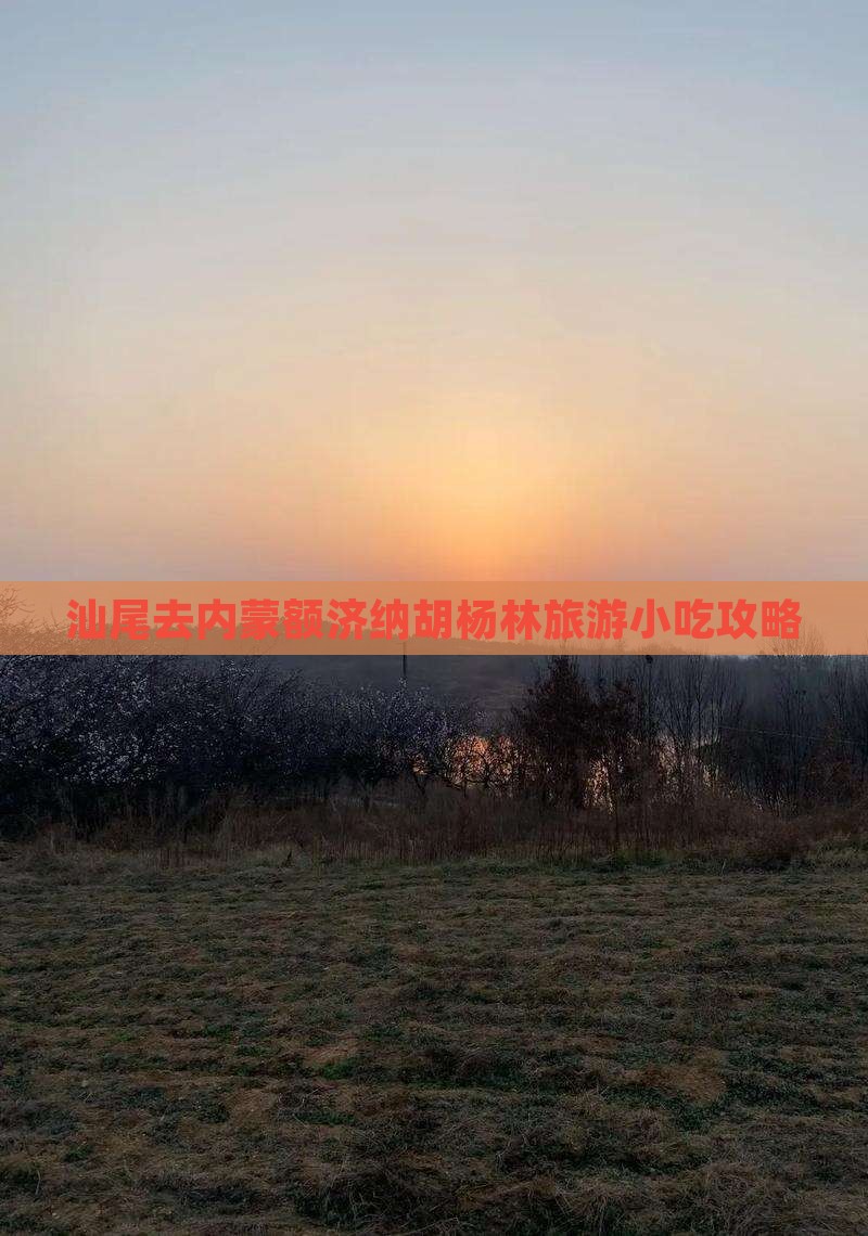 汕尾去内蒙额济纳胡杨林旅游小吃攻略