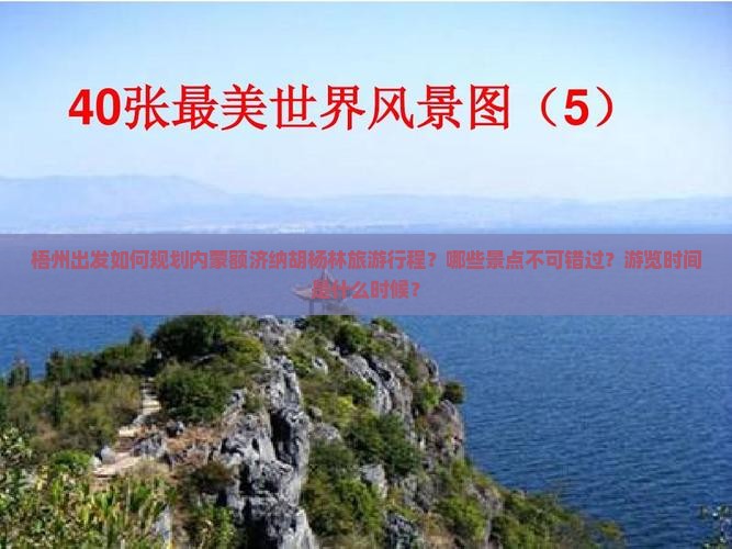 梧州出发如何规划内蒙额济纳胡杨林旅游行程？哪些景点不可错过？游览时间是什么时候？