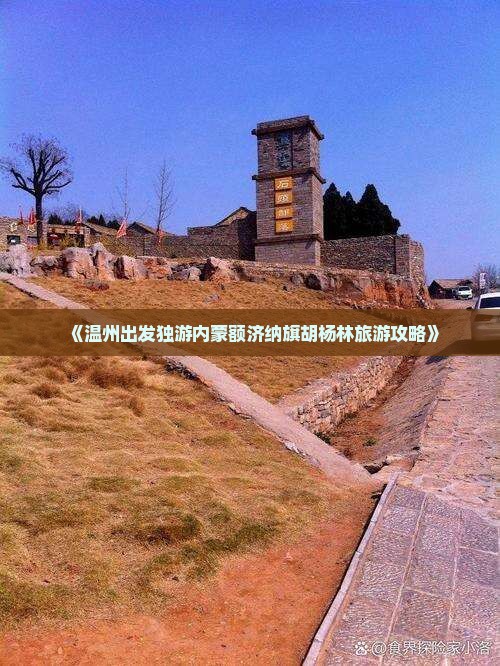 《温州出发独游内蒙额济纳旗胡杨林旅游攻略》