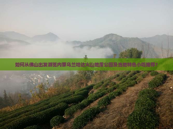 如何从佛山出发游览内蒙乌兰哈达火山地质公园及当地特色小吃推荐？