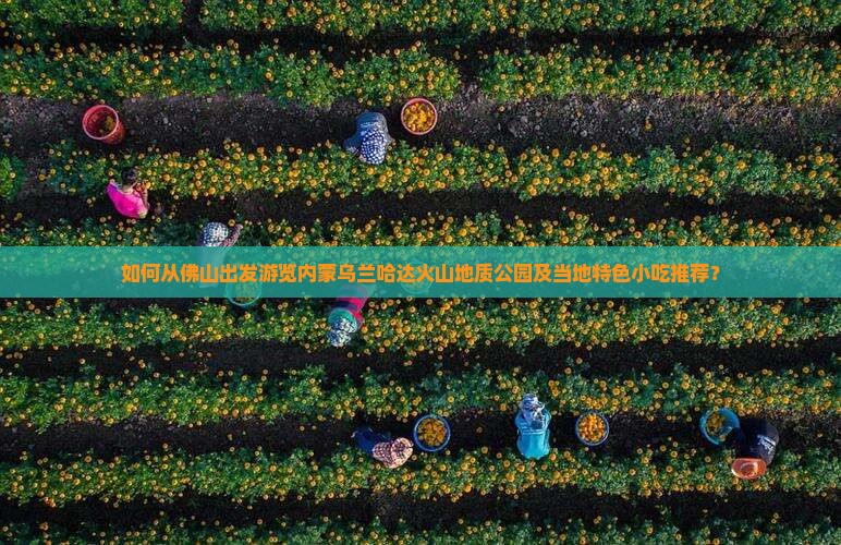 如何从佛山出发游览内蒙乌兰哈达火山地质公园及当地特色小吃推荐？