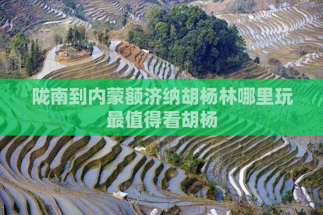 陇南到内蒙额济纳胡杨林哪里玩最值得看胡杨
