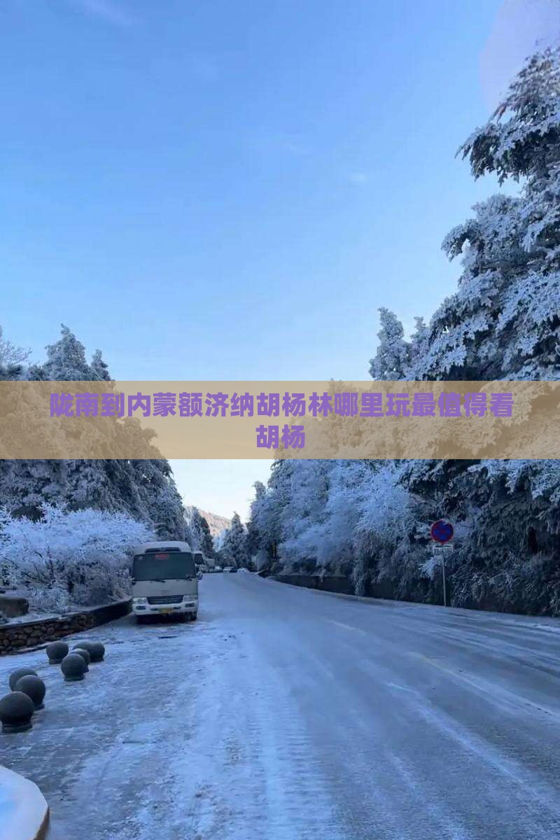 陇南到内蒙额济纳胡杨林哪里玩最值得看胡杨