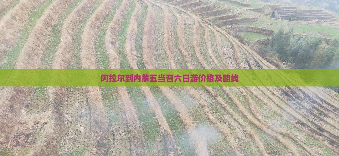 阿拉尔到内蒙五当召六日游价格及路线