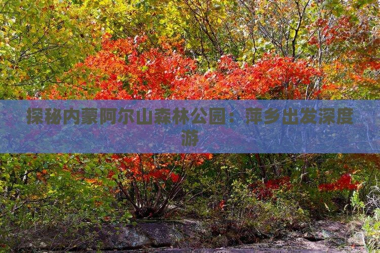 探秘内蒙阿尔山森林公园：萍乡出发深度游
