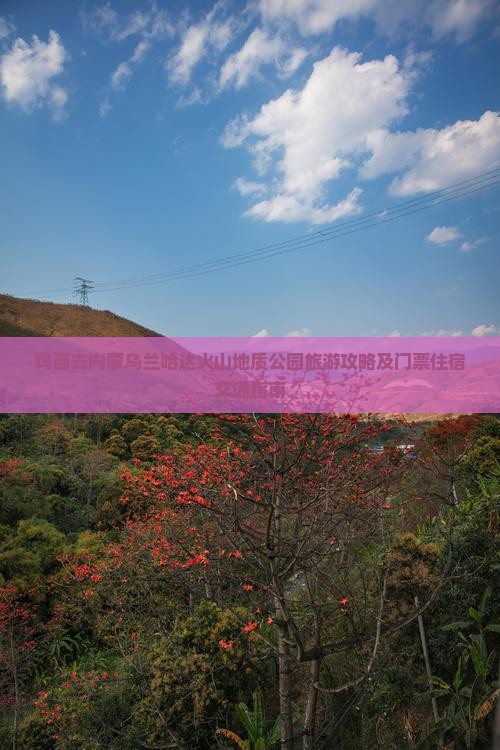 鸡西去内蒙乌兰哈达火山地质公园旅游攻略及门票住宿交通指南