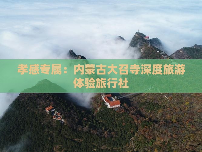 孝感专属：内蒙古大召寺深度旅游体验旅行社