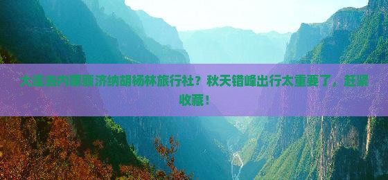 大连去内蒙额济纳胡杨林旅行社？秋天错峰出行太重要了，赶紧收藏！