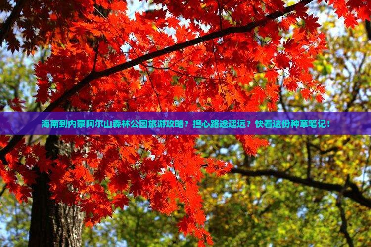 海南到内蒙阿尔山森林公园旅游攻略？担心路途遥远？快看这份种草笔记！