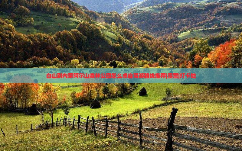 白山到内蒙阿尔山森林公园怎么卓自驾游路线推荐|露营|打卡地