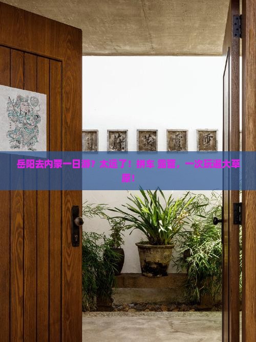 岳阳去内蒙一日游？太远了！拼车+露营，一次玩遍大草原！