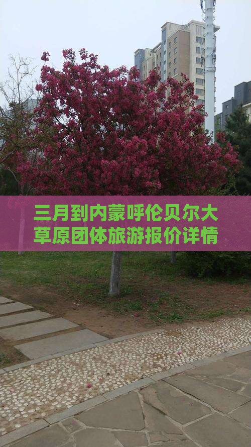 三月到内蒙呼伦贝尔大草原团体旅游报价详情
