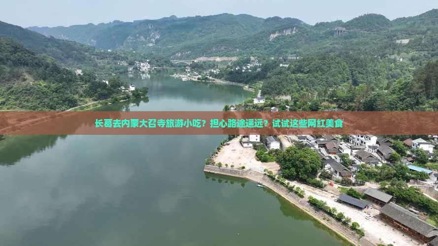长葛去内蒙大召寺旅游小吃？担心路途遥远？试试这些网红美食